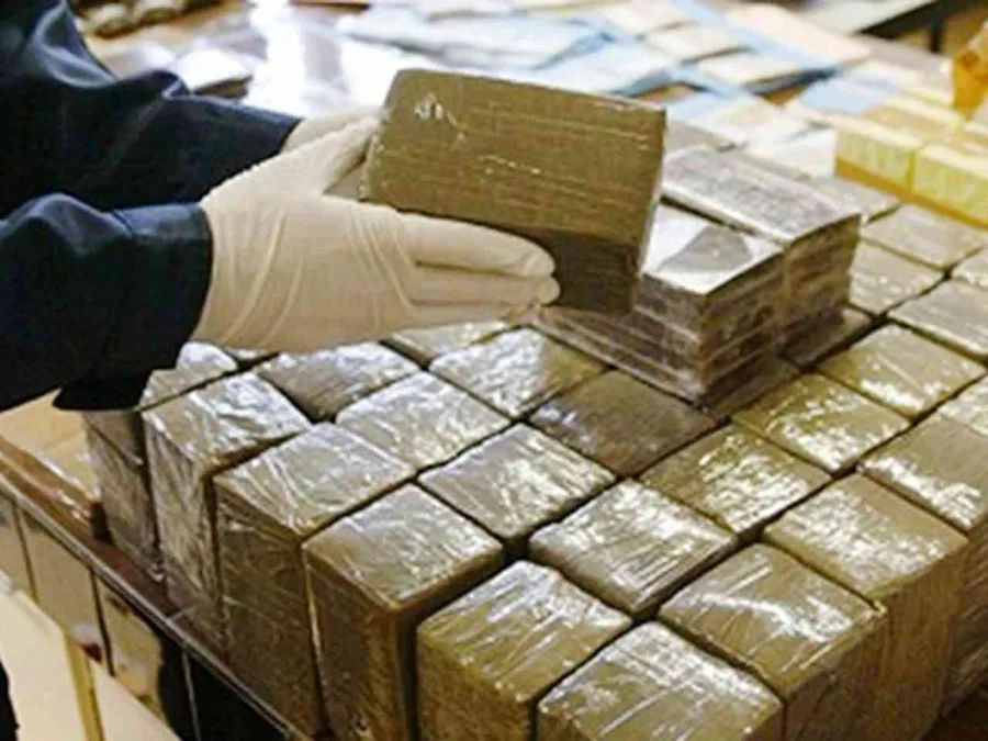 من “الحشيش” إلى الكوكايين.. كيف تحوّل المغرب إلى منصة دولية لتصدير السموم وإغراق المنطقة بالمخدرات؟